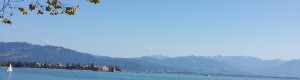 Aktuelles und Inspirierendes
